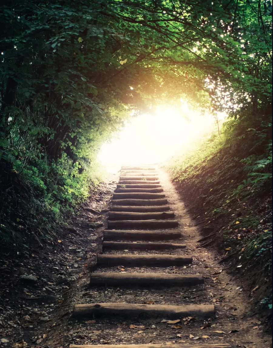 Weathered stone steps climbing through a dark wood toward an opening full of golden light, the inward journey beneath the surface of a successful life