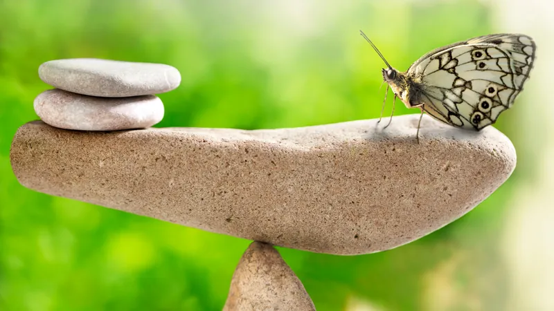A butterfly resting on a long flat stone balanced perfectly on a smaller one, the balance between the outer life and the inner one